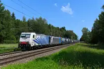 In einem Waldstück bei Reischenhart fotografierte ich am 15. Juni 2025 den KLV-Zug DGS 43129 auf der Fahrt nach Verona Q.E. mit 186 440 und einer weiteren 186 von Railpool als Zuglok.