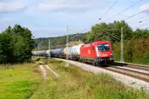 1116 042 ÖBB mit einem Kesselwagenzug bei Lehrberg Richtung Ansbach, 21.09.2021