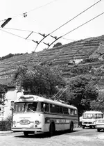 ESS-Nachfolger O-Bus von Obertürkheim her kommend.__22-06-1976
