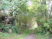 Etwa 50m hinter der Schlangenbachtalbr�cke in Elterlein findet man die Reste dieser Feldwegunterf�hrung. Was da durchgepasst haben soll, ist mir allerdings ein R�tsel. 03.10.07