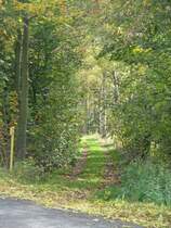 Ein gutes St�ck hinter der G�ckeritzbr�cke in Gr�nhain quert die Bahntrasse nach Scheibenberg die Elterleiner Stra�e in Richtung Fl��elbr�cke im Oswaldtal. 03.10.07