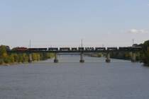Ein 1x44 �berquert bei Wien Lobau die neue Donau. Aufgenommen am 13.10.2007