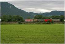 Typischer Kombizug nach Italien (1). Verladen sind Container der ASSOCARGO (FERCAM), FM und L�blein.