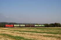 2143.021 mit einem Leer-Hackschnitzelzug vor Gessertshausen (16.09.2007)