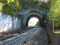 Der 25m lange Tannenb�hltunnnel an der Schwarzwaldbahn 16.10.07
