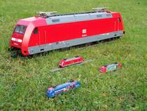 (Fuzztour-Garten/Bild 3) 101er Treff in der Natur. Aufgenommen am 17.Oktober 2007