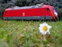 (Fuzztour-Garten/Bild 2) Die 101 024-8 (101er Modell von LGB) durfte die Natur im Garten genie�en. Aufgenommen am 17.Oktober 2007