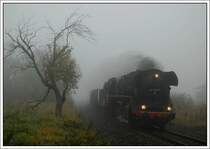Plandampfzug Nr. 2 des ersten Plandampftages im Werratal am 11.10.2007. 44 1486 bespannte einen gemischten G�terzug von Eisenach Gbf nach Bad Salzungen. Die Aufnahme entstand n�chst Ettenhausen.