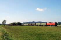 2143.021 mit einem Hackschnitzelzug am Verladebahnhof Reitenbuch (16.09.2007)