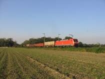 152 144 zieht einen gemischten G�terzug bei Br�hl am 23.10.2007 in Richtung Bonn.