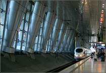 . Moderne Kathedrale des Verkehrs -

Fernbahnhof am Frankfurter Flughafen. 01.06.2006 (M)