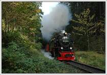 Der dritte Zug (8933) von Wernigerorde auf den Brocken am 10.10.2007 war mit 99 7232 bespannt. Die Aufnahme entstand in Drei Annen.