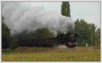 13.10.2007 - letzter Plandampftag im Werratal. 44 1486 bespannte einen Leerzug von Bad Salzungen nach Themar. Die Aufnahme entstand kurz nach Immelborn.