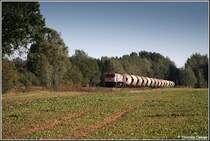 Ein Orange Tiger der HVLE ist am Nachmittag des 16.09.07 bei Herrenhaide mit dem Gipsleerzug vom HKW Chemnitz-Nord nach R�beland  unterwegs.