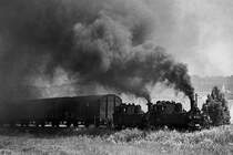 Mit vereinten Kr�ften: 99 1584 und 99 1582 bei Altoschatz (5. Juli 1991)