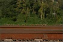 Eine Gleisimpression w�hrend der Abendsonne bei Hohenlimburg. (06.10.07)