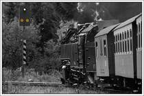 99 7241 bespannte am 9.10.2007 den Zug 8903 vom Brocken nach Eisfelder Talm�hle. Mit gleicher Zugnummer f�hrt auch ein Zug von Wernigerode bis Drei Annen Hohne. Dieser Nachschuss entstand kurz vor Sorge.