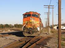 Ein BNSF Zug am 4.12.2007 in Rosenberg (bei Houston, Texas).