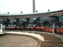 Ringlokschuppen im Museums-BW in Sta�furt (Sachsen-Anhalt)