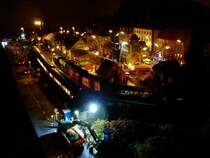 Blumenfeld von rechts vorne. Im Vordergrund wird flei�ig geschuftet, w�hrend sich im Hintergrund einige G�terwaggons im Licht der vorbeifahrenden Personenwaggons von der Schw�rze der Nacht abheben. :) 