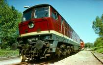 142 005 des Bw Stralsund
echt und mit 4000 PS in der Weste zum Tag des Eisenbahners im ehemaligen Kleinbahnhof Stralsund in den 80igern