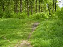 Wenn man es nicht kennt, glaubt man nicht, dass das ein Bahndamm ist bzw. war. Das Bild enstand kurz vor Ichtershausen.