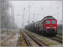 Die 232 544 mit einem Kesselzug konnte ich an diesem sch�nen Raureifmorgen im Rostocker Seehafen festhalten. 22.12.07 