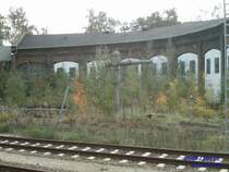 Der alte Lokschuppen gegen die Natur. Die Natur ist strker.