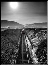 High Noon!
Diesellok 2143 062 f�hrt mit einem gemischten G�terzug von Wei�kirchen nach Zeltweg
9.1.2007
