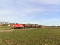 Die 294 898 mit ihrer Mittags�bergabe auf dem Weg von Hirschau nach Amberg, hier bei der Vorbeifahrt von Gebenbach. (11.01.2008, Strecke Amberg-Schanittenbach)