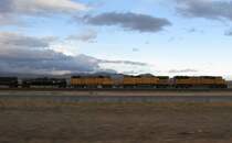 Drei Union Pacific Loks sind am 6.1.2008 mit einem G�terzug  in New Mexico unterwegs.