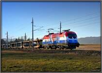 EM Lok 1116 108 Kroatien f�hrt mit einem leeren Autozug von Tarvis nach Breclav
Zeltweg 24.1.2008