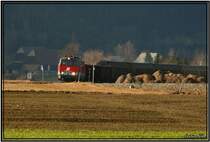 Dieselloks 2143 075 + 050 fahren mit einem leeren Holzzug von P�ls nach Knittelfeld.Eigentlich wird auf dieser Strecke nur mehr mit 2016 gefahren aber dank des Sturms  Paula  gab es einige Verschiebungen bei den Fahrpl�nen.
Fohnsdorf 29.1.2008