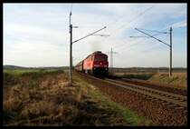 232 014 mit G�terzug, 03.02.08, Nudow