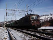 Zwei Re 4/4 sind am 15.01.2008 mit einem Hangartnerzug unterwegs zwischen M�lenen und Reichenbach.