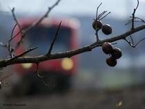 Ein 650er auf der Fahrt von Ulm Hbf nach Crailsheim. Hier von einer anderen Perspektive bei Goldsh�fe. Aufgenommen am 2.Februar 2008.