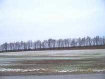 Der Bahndamm der abgebauten ZC-Linie Zw�nitz - Stollberg in der N�he der Ortschaft Oberdorf, 31.01.08