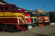 Rundnasen verschiedener Staats- und Privatbahnen pr�sentien sich vor dem Schuppen des Eisenbahnmuseums in Odense (DK) 08-2004. Jubul�umsveranstaltung 50 Jahre NOHAB in D�nemark.