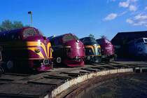 Rundnasentreffen in D�nemark, Randers Mai 1999