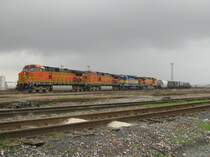 Ein G�terzug der BNSF am 21.2.2008 in Houston (Texas).