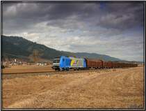 Diesellok 2016 903 European Bulls der Firma LTE f�hrt mit einem Kurzholzzug von Kraubath nach P�ls. Fohnsdorf 21.2.2008