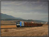 Diesellok 2016 903 European Bulls der Firma LTE f�hrt mit einem Kurzholzzug von Kraubath nach P�ls. Fohnsdorf 21.2.2008