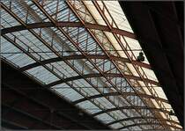 Detailaufnahme Bahnhofsdach des Straßburger Bahnhofes. 

06.03.2008 (M)