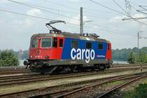 421 381 setzt in Lindau (D)um. 17.06.2005