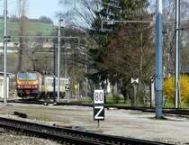 Entlang der Strecke beginnt es wieder zu bl�hen! Triebzug 2004 kommt aus Diekirch und f�hrt an einem Forsythienstrauch vorbei in den Bahnhof von Ettelbr�ck ein. 23.03.08 