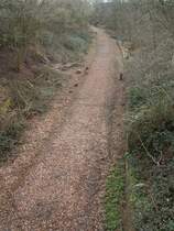 Verbindungskurve Schwarzenacker-Ein�d; (12/89 abgebaut) mit Blick Richtung Ein�d/Zweibr�cken, auf der in den letzten Wochen umfangreiche Freischndeidearbeiten stattfanden, wie auf der weiteren Strecke Schwarzenacker-Homburg/Saar.

