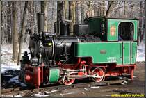Der 1948 von Henschel & Sohn Kassel gebaute kleine B-Kuppler der Parkeisenbahn Chemnitz wird am Vormittag des 24.03.08 f�r die nachmitt�glichen Osterfahrten durch den Chemnitzer K�chwald angeheizt.