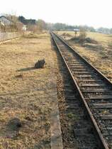 Bf. Schwarzenacker am 24.2.08 Blickrichtung Ein�d/Bierbach.