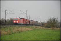 Eine 185er ist unterwegs in Richtung Gem�nden. Aufgenommen am 05.04.08 in Th�ngersheim.