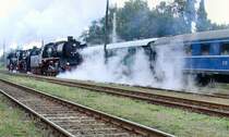 Lokparade im Bw Sch�neweide mit BR 50, R�ckfahrt zum Startpunkt, im Hintergrund Bundesbahn-Schnellzugwagen, 2007